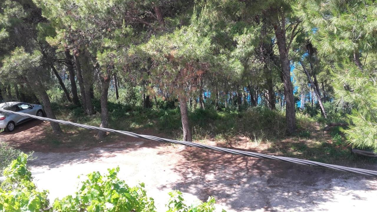 Villa Mateja Donji Okrug  Luaran gambar